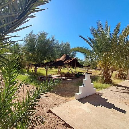 Jardin Du Desert マハミド エクステリア 写真