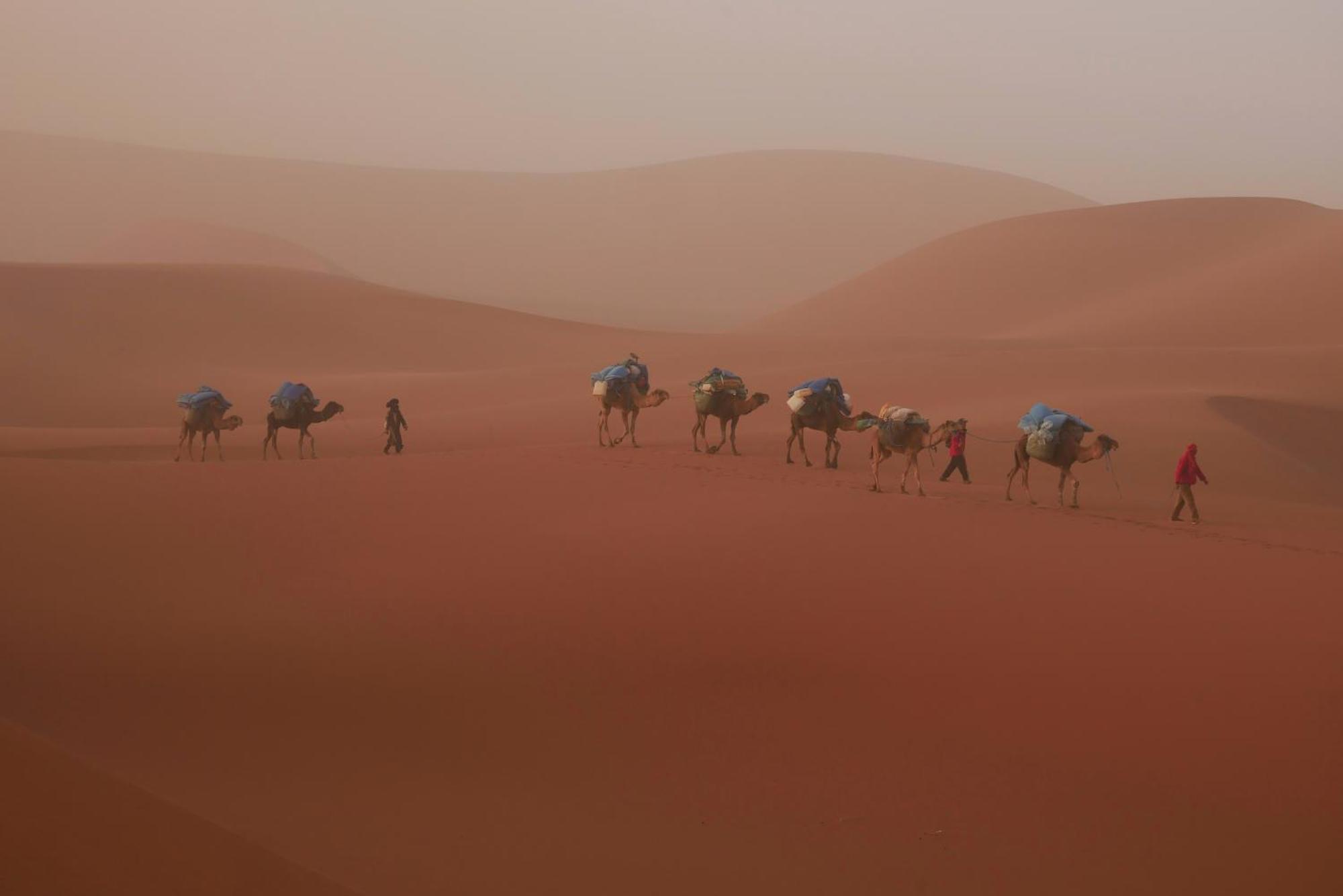 Jardin Du Desert マハミド エクステリア 写真