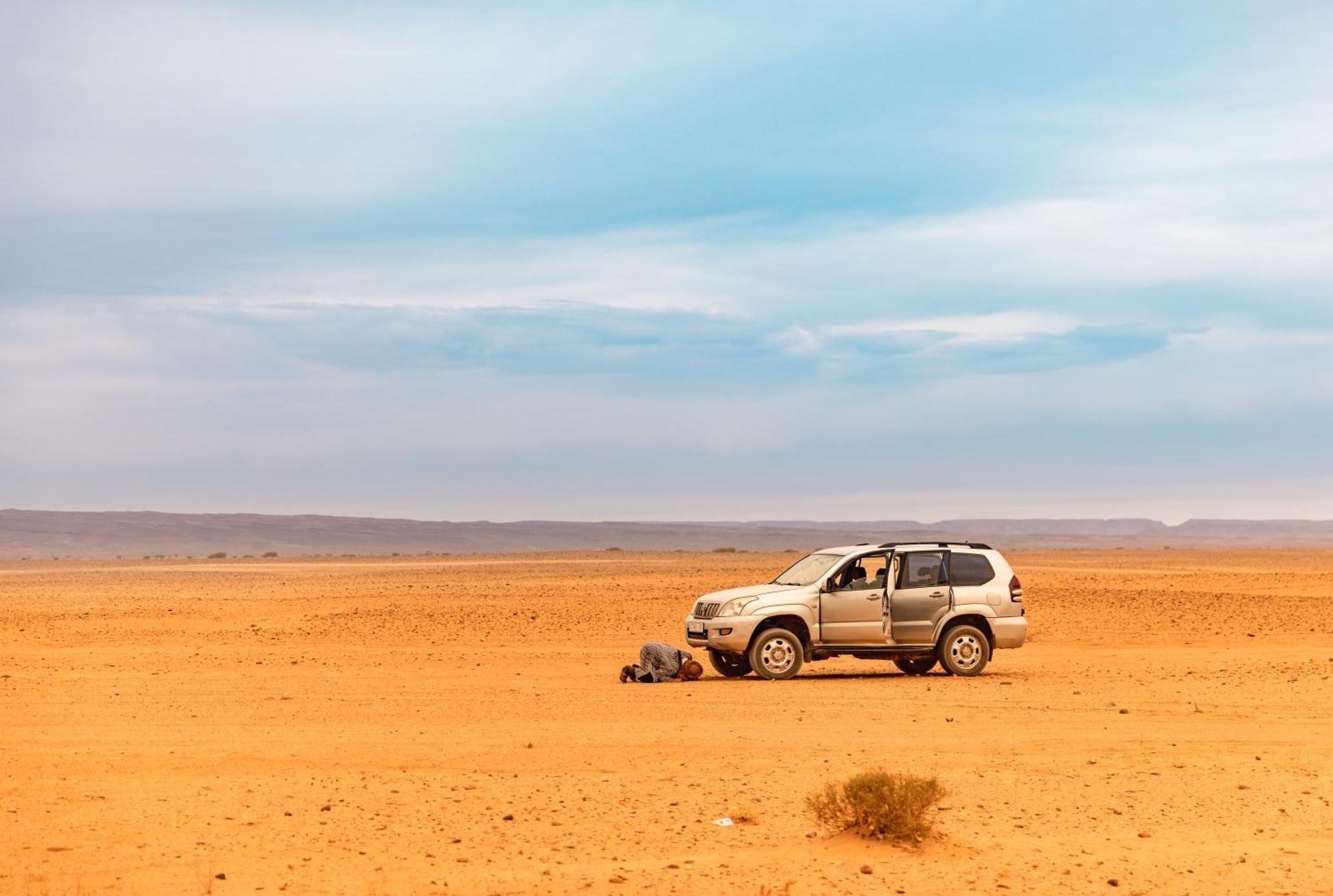 Jardin Du Desert マハミド エクステリア 写真
