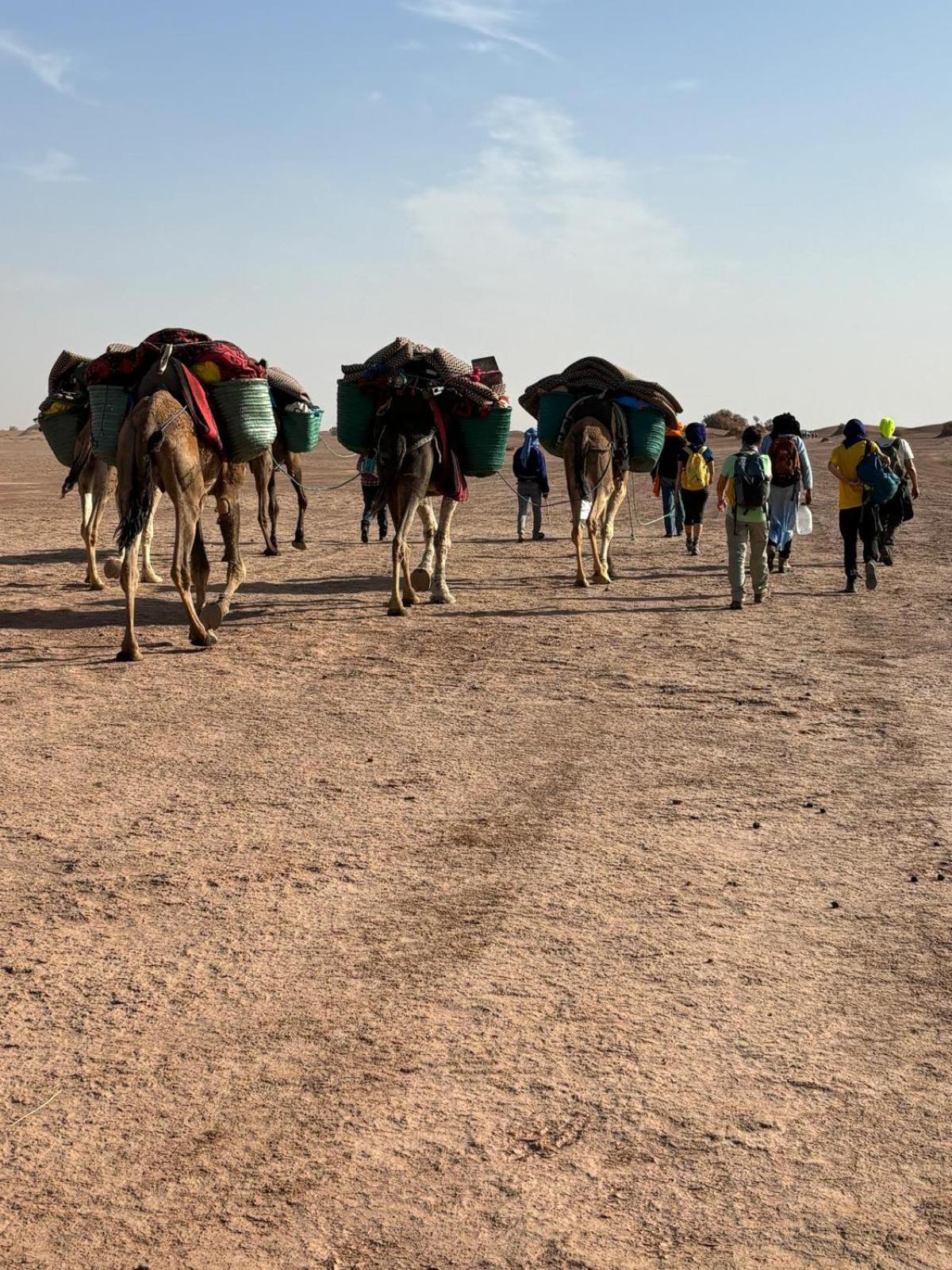 Jardin Du Desert マハミド エクステリア 写真