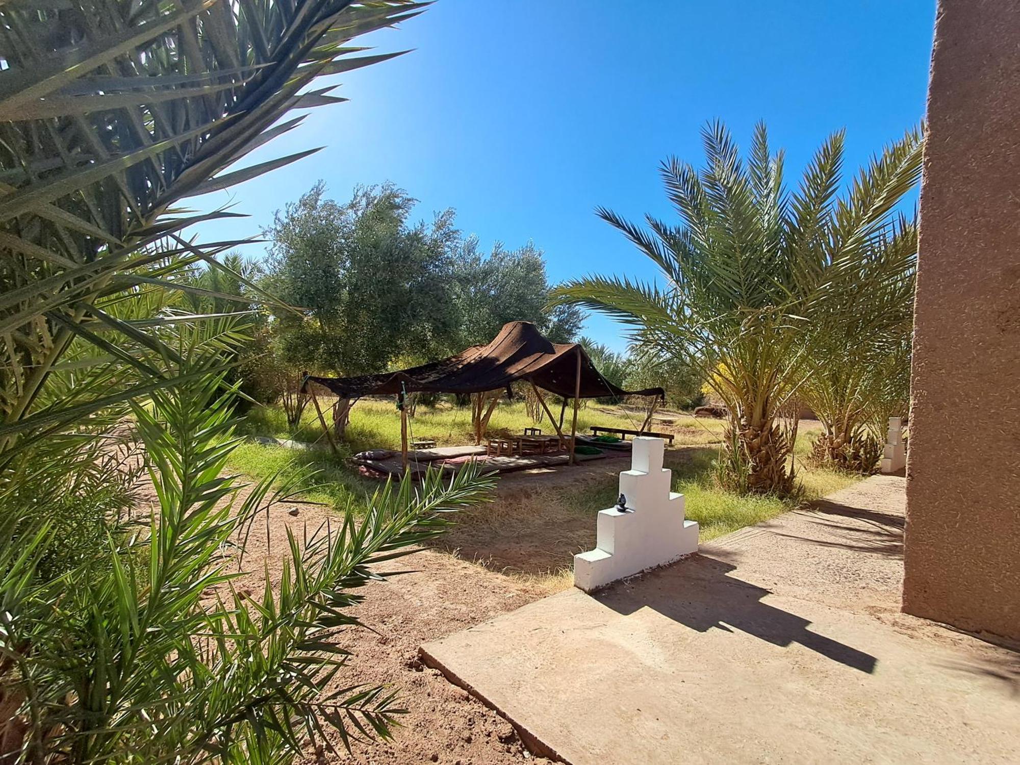 Jardin Du Desert マハミド エクステリア 写真