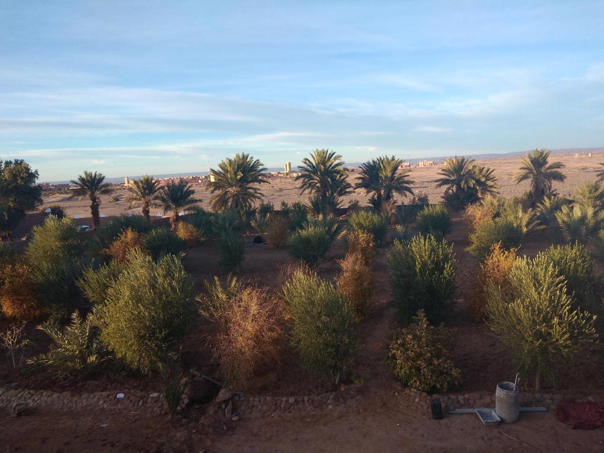 Jardin Du Desert マハミド エクステリア 写真